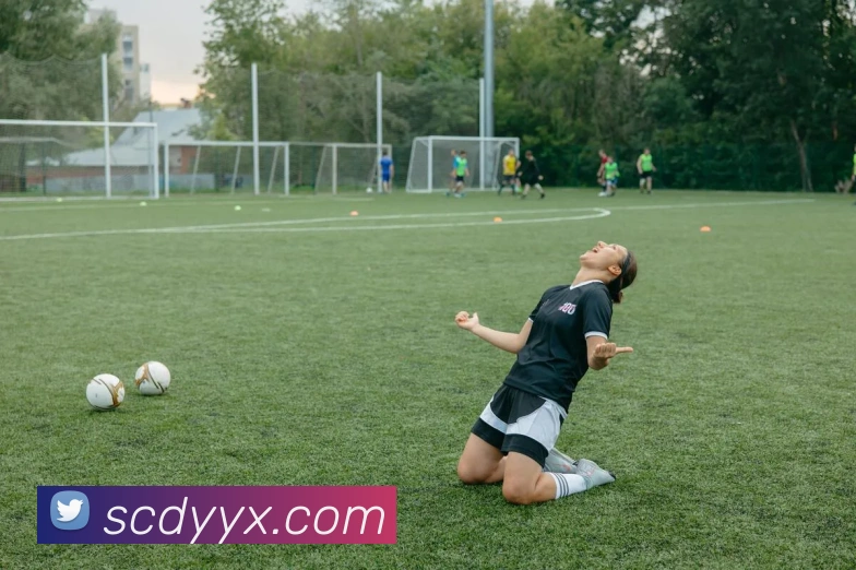 开云app平台生态图